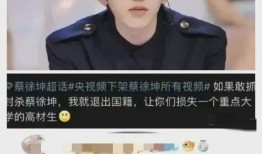 爆料视频蔡徐坤,揭秘背后真相与争议